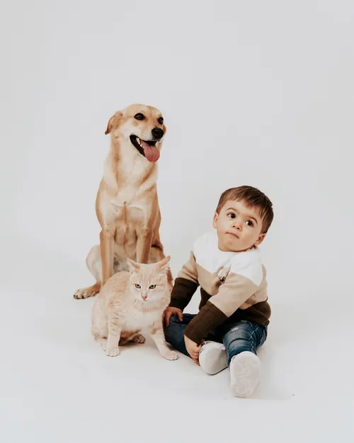Menino sentado no estúdio, ao lado de um cão e de um gato.